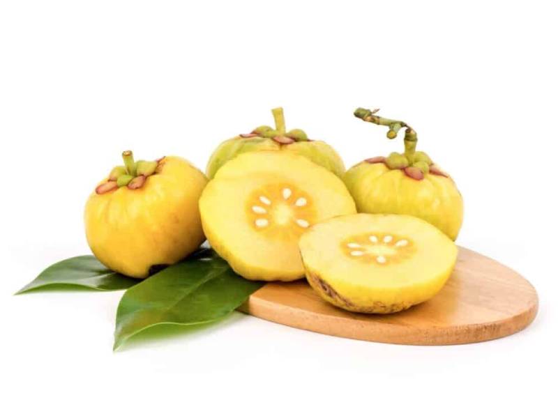 عصاره گارسینیا کامبوجیا